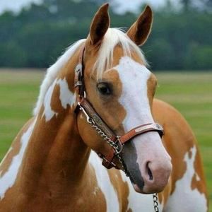 Meet your Posher, Ruth